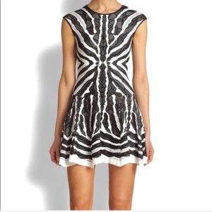 RVN Knit Skater Jacquard Dress XS in Black Zebra
